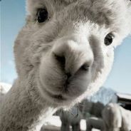 啊 我是弱之拉科！