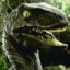 RaptorClawBR