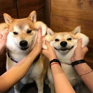 扶乳，洞嗨，常流水