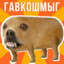 Гавкошмыг