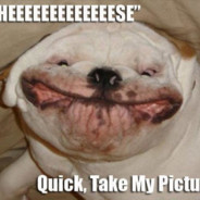 CHAMA FIRECRACKER - steam id 76561199160969170