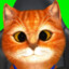Gaton Gamer Ok