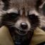 Rocket Raccoon