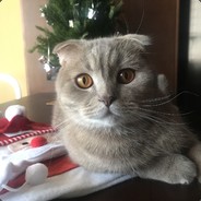Cinnamon's Avatar