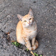 【88D】国立大学