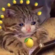 Lemon8Kitty