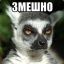 Збагойствие