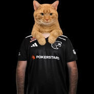 JoshuA SKINS