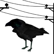 crow (link)
