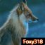 Foxy318