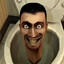 skibidi toilet enjoyer