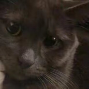 SMOKE恶鬼 ☯ FaZe ja