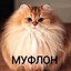 ОХРАНА ОТМЕНА