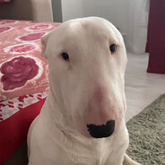 ᵃⁿᵈʳᵉⁱᵘᵗᶻᶻ