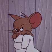 MALINA300