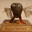 Turdbird
