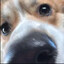 que?