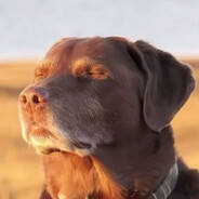 bartek-_- |ちんちん