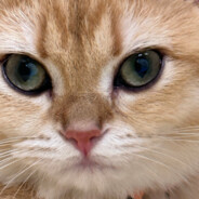 我知道你有点急但是你先别急