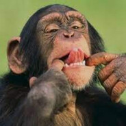 MONNKE