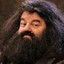 Hagrid