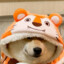 超市梨两块五