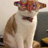 女人是守不住B的