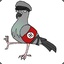 The Pigeon Army Commander