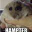 Hampter (AKA FWsky) |HM|