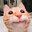 GINGER CAT