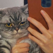 一土它小木登子