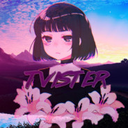 テレビスター  TVISTER