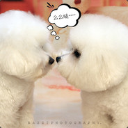 专虐小胖子 小瘦子