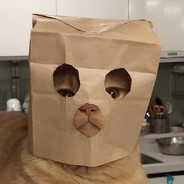 PukuN1x avatar