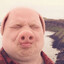 2BEARCOOLE3HIK