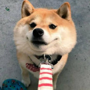 汗流浃背了吧 老弟