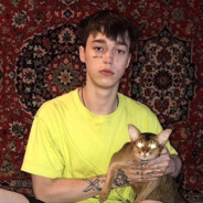 我™刚提的蓝甲啊