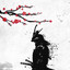 SamuraiPRO