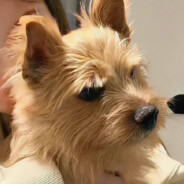 转身消失与人海