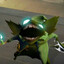 Budabaga
