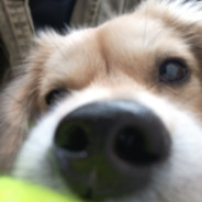 喜欢你嚣张的样子