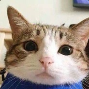 今晚就吃白熊肉