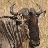 Gnu