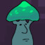Mr. Bungicide