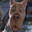 Scooby-Doo