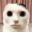 Kusoezu