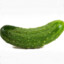 OG Pickle