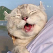 又被前女友拉黑