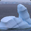 Arctic Penis