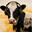 the milker